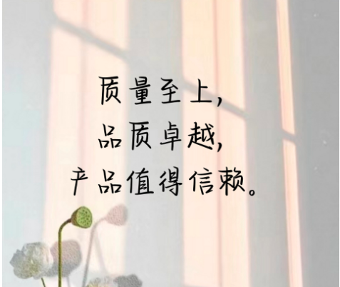 品质迭代：打造卓越产品性能
